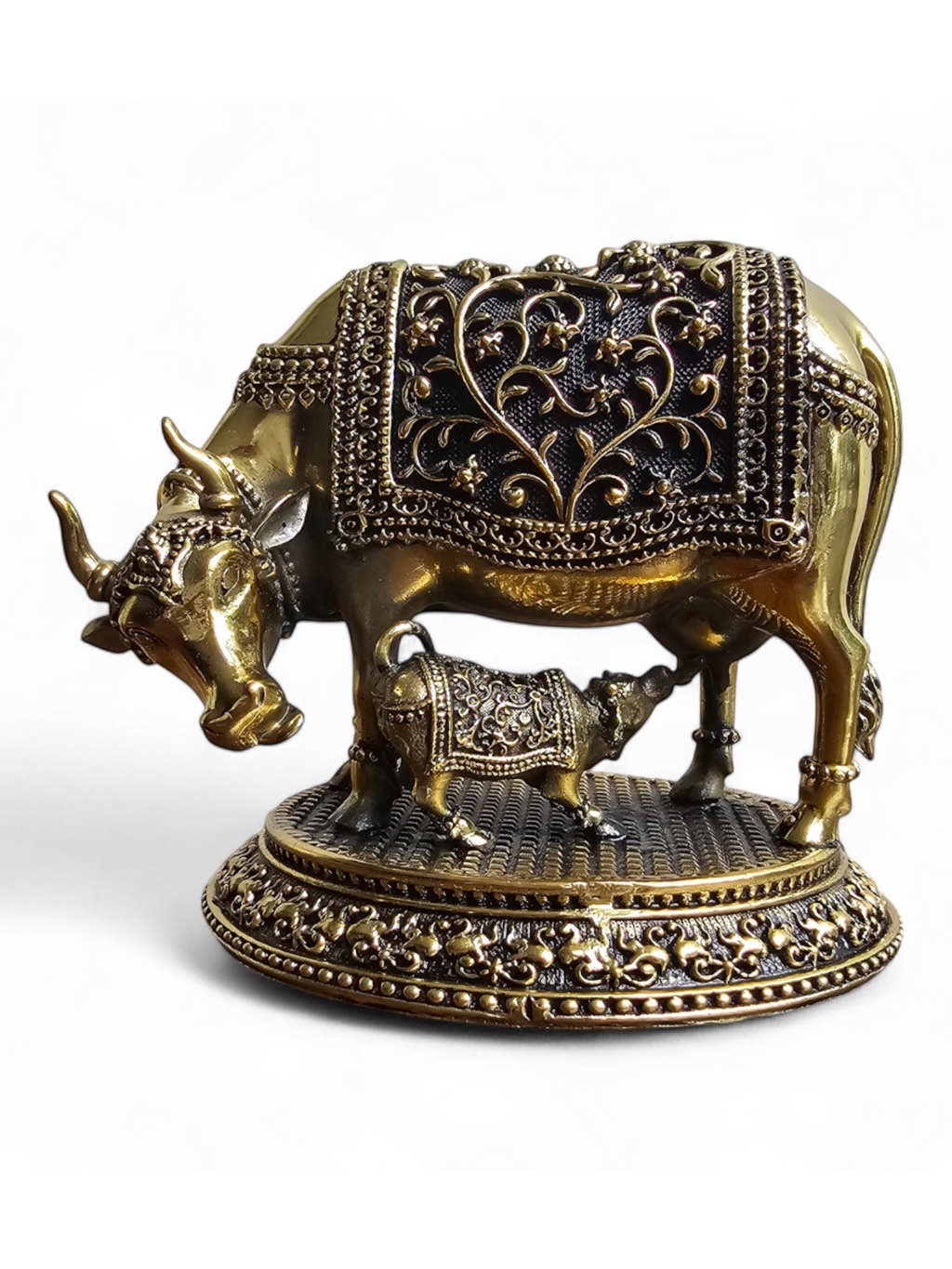 Kamdhenu cow n calf