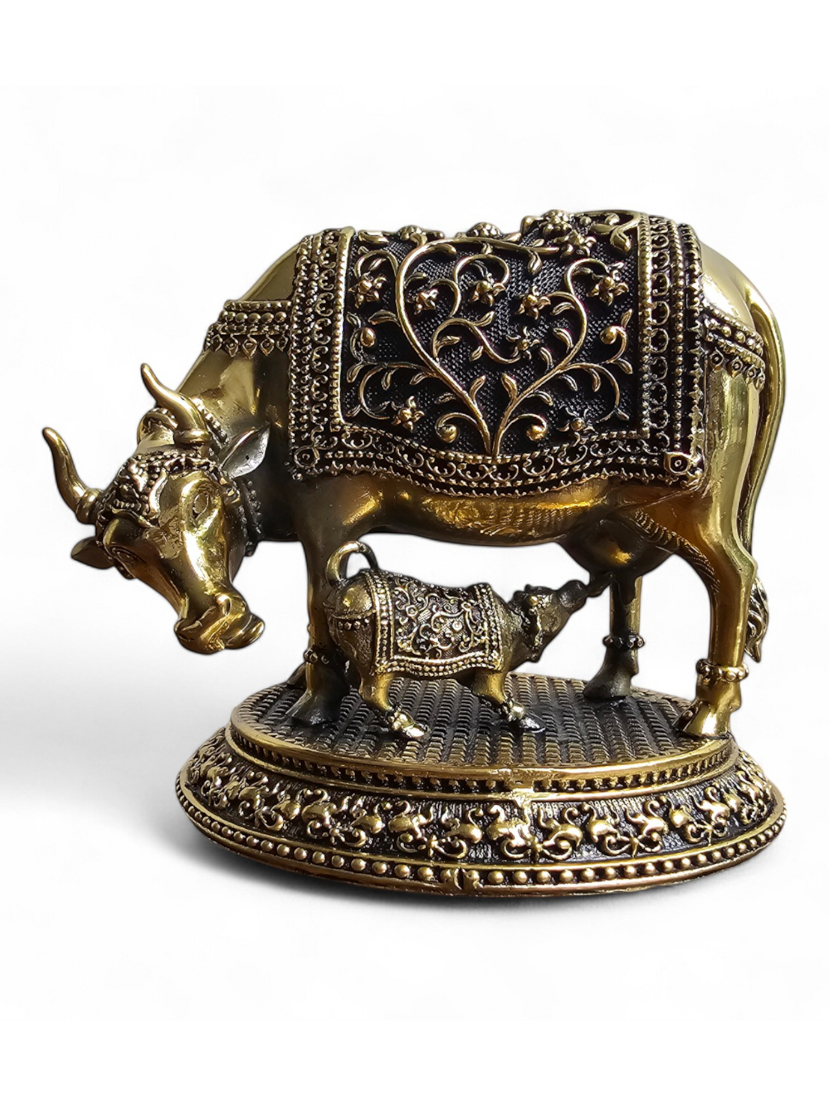 Kamdhenu cow n calf