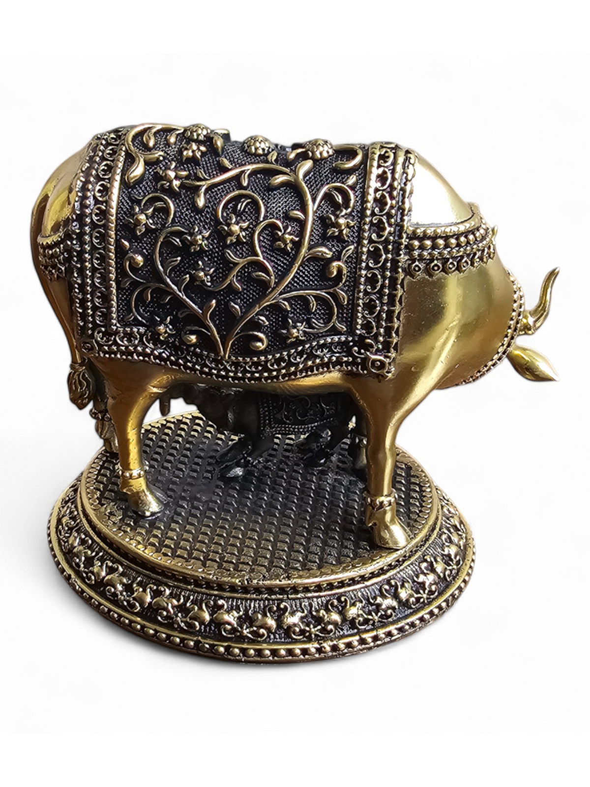 Kamdhenu cow n calf